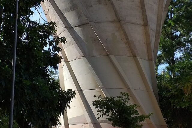 Estrutura de concreto de um viaduto cercada por árvores e com pichações na parte inferior, na região da Bela Vista.