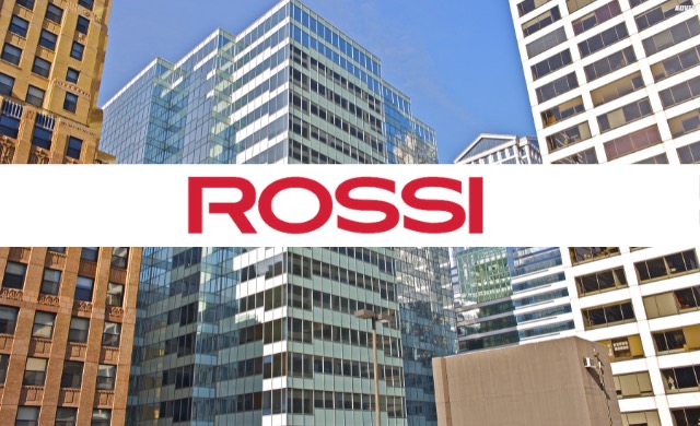 A Queda da Rossi Lições para investidores